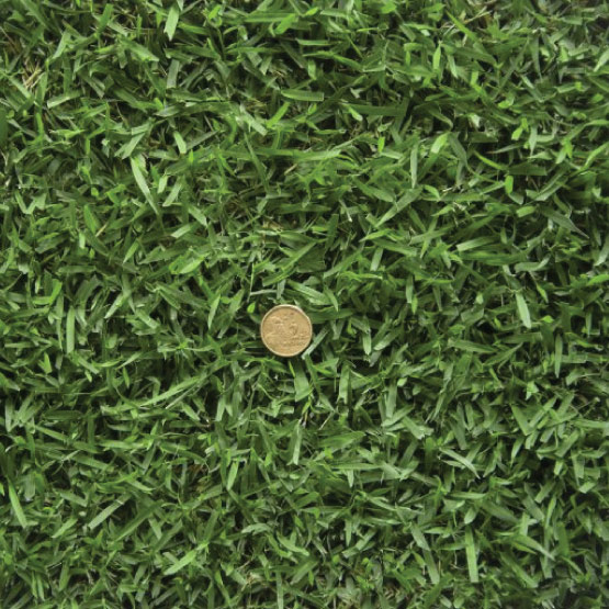 Turf Australis Zoysia m2 (1.7mx0.6m)