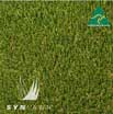 Turf Synthetic Pet Premium SynLawn (min order 4m)